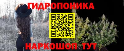стаф Рязань