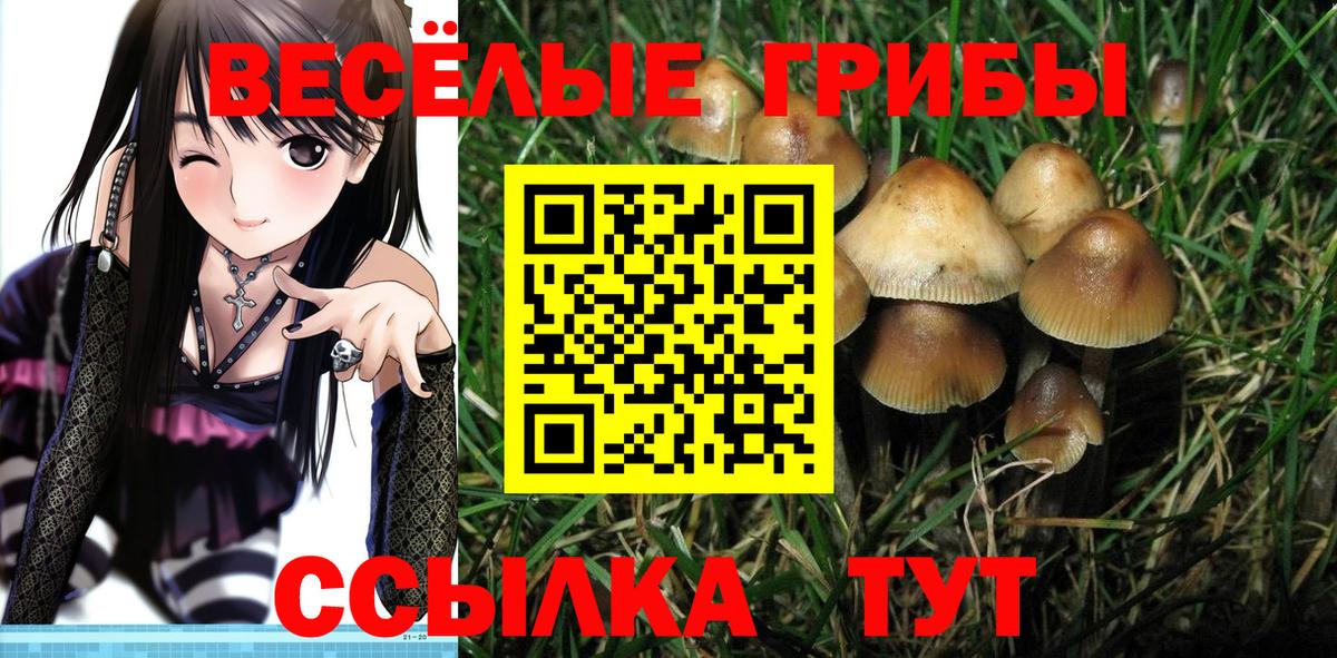 Псилоцибиновые грибы Psilocybe  Вход с VPN  Галлюциногенные грибы MAGIC MUSHROOMS  Новочеркасск 