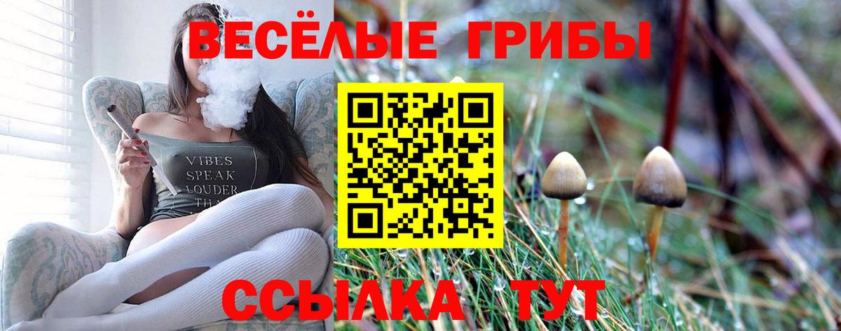 Канабис  Новочеркасск  Гашиш  Вход с VPN  Экстази  МЕФ кристаллы  ГАШИШ 