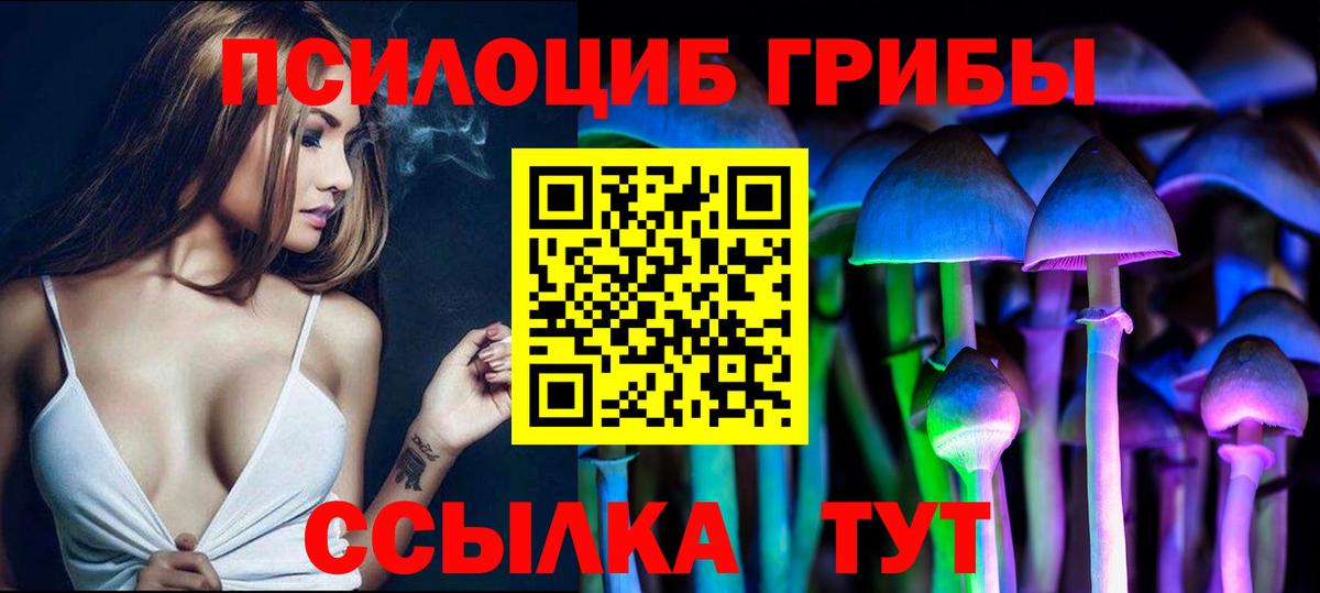 Псилоцибиновые грибы GOLDEN TEACHER Новочеркасск